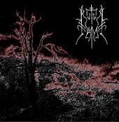 Ritual Flame : Demo 2008